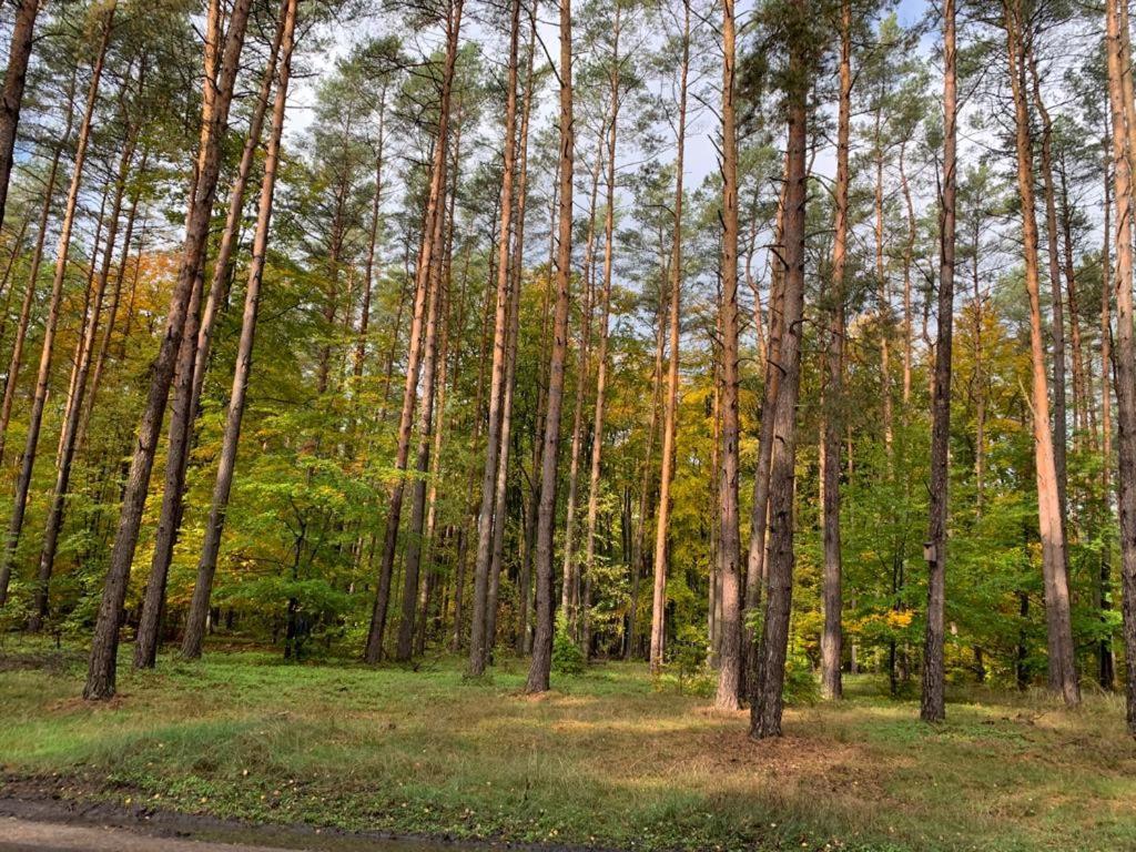 Domek Cyklisty Moryn Kültér fotó